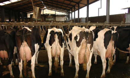 UPA exige contratos obligatorios de 12 meses para evitar una “hecatombe” en el sector lácteo