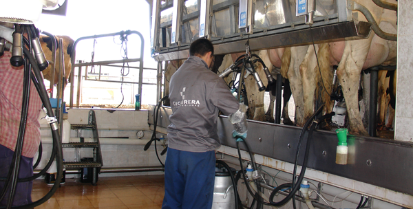 Jornada sobre producción de leche en sistema forrajero y sobre situación sectorial