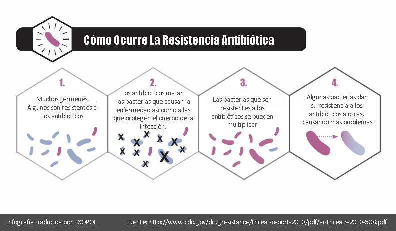 Las CMI como solución al nuevo Plan de Acción sobre Resistencias Antimicrobianas