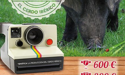 Concurso de fotografía Diálogos sobre el cerdo ibérico 2016