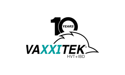 Vaxxitek® HVT+IBD incrementa el número de dosis vendidas en un 20%