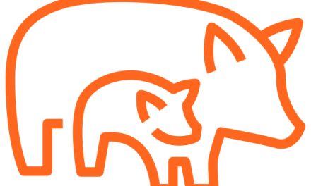 VetSupport+ 2016 llega cargado de nuevos servicios de valor añadido para los profesionales del sector porcino
