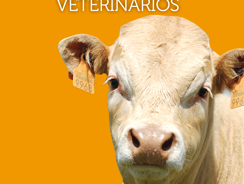 Ya está publicada la 'Guía de uso responsable de medicamentos veterinarios en Bovino" lanzada por la iniciativa Vetresponsable