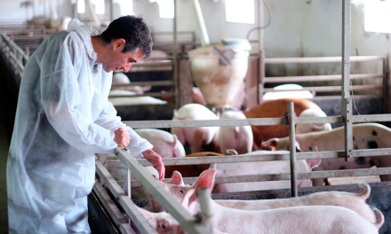 La industria española de sanidad y nutrición animal continuó su crecimiento en 2015