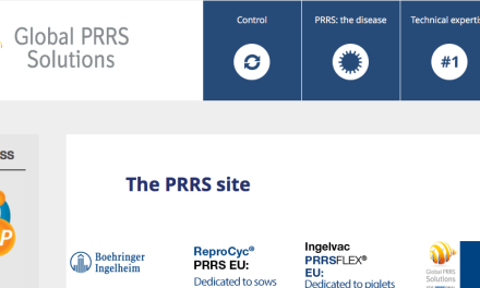 Boehringer Ingelheim convoca el Premio Europeo 2016 de Investigación en PRRS