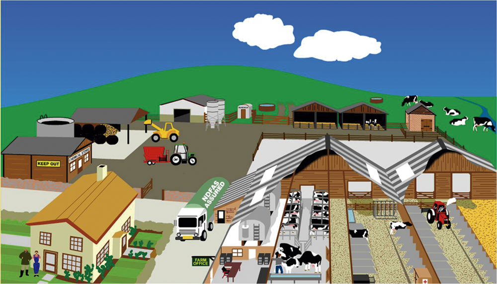 Nueva Zelanda sacrificará 150.000 vacas para erradicar Mycoplasma bovis