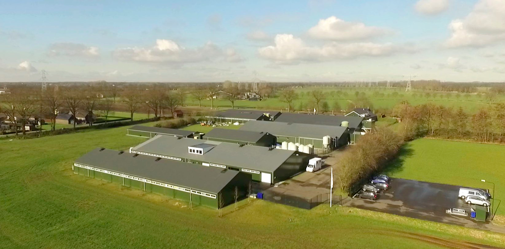 Trouw Nutrition abre un nuevo centro de investigación de terneros de recría y de producción de carne en Holanda