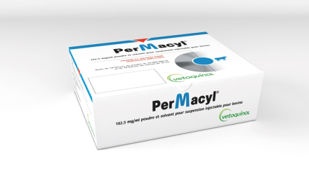 Permacyl®, el tratamiento de elección en mastitis por Gram positivos a base de penetamato