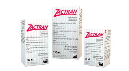 Merial lanza Zactran, un nuevo antibiótico para el tratamiento del Complejo Respiratorio Porcino