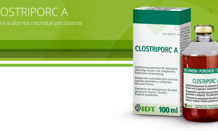 IDT lanza CLOSTRIPORC A, una nueva herramienta para el control de la diarrea neonatal persistente