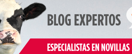 Alfonso Monge se incorpora al elenco de expertos del Blog de Novillas de Zoetis