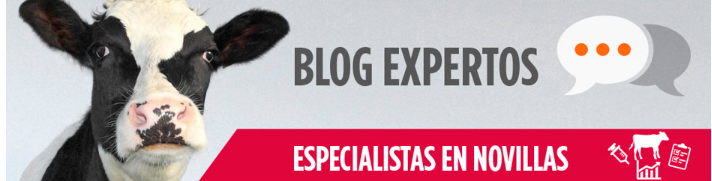 Alfonso Monge se incorpora al elenco de expertos del Blog de Novillas de Zoetis