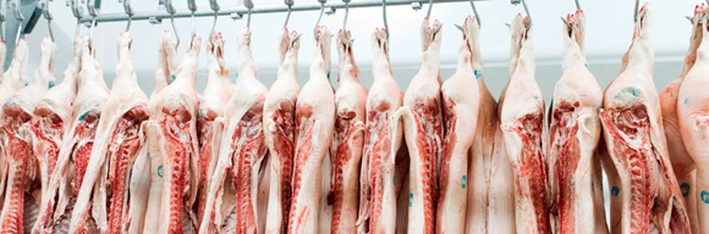 Las exportaciones de carne y elaborados del porcino crecen un 27% y superan los 1.200 millones de euros en el primer trimestre del año