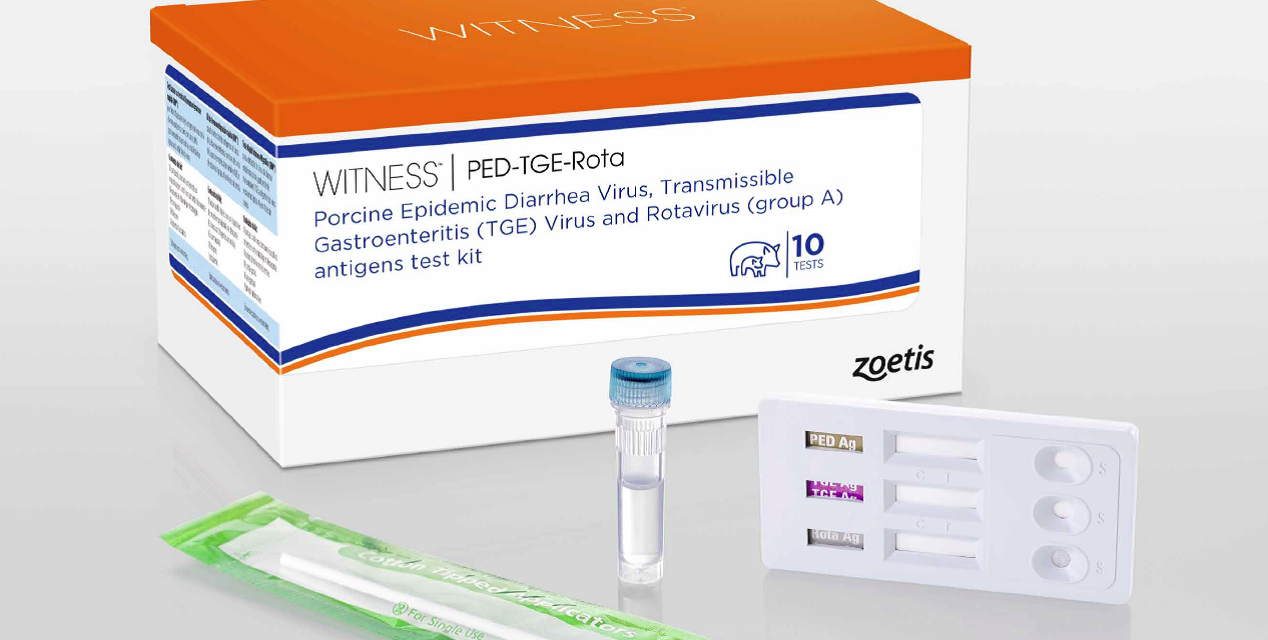 Zoetis lanza WITNESS® PED-TGE-Rota para la rápida detección en campo de los principales agentes causantes de diarrea vírica porcina