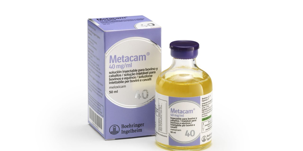 Boehringer Ingelheim presenta Metacam® 40 mg/ml, el nuevo Metacam vacuno