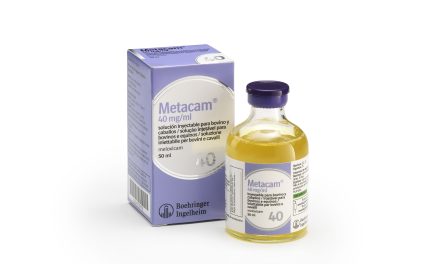 Boehringer Ingelheim presenta Metacam® 40 mg/ml, el nuevo Metacam vacuno