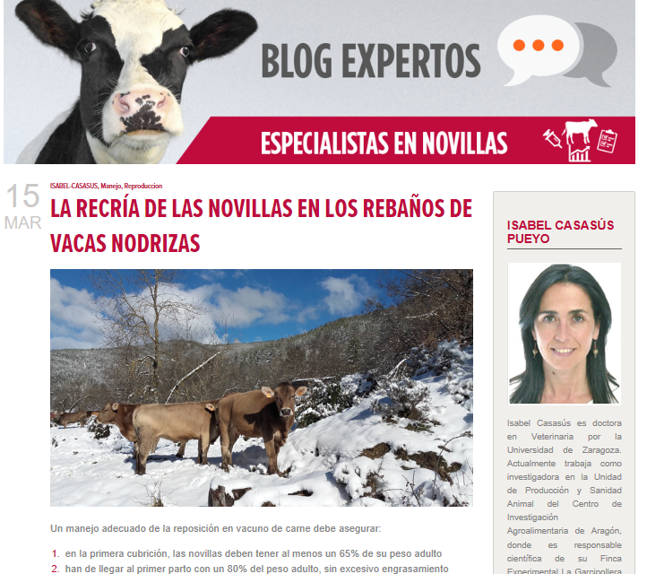 El Centro de Investigación y Tecnología Agroalimentarias de Aragón (CITA) participa en el Blog de Expertos “Especialistas en novillas”