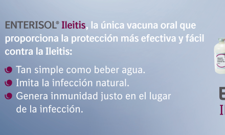 Efecto de la vacunación oral frente a la ileítis producida por Lawsonia intracellularis en la mejora del rendimiento en una empresa española