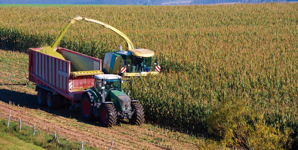 La encuesta de micotoxinas NUTRIAD concluyó que la cosecha 2016 de maíz en  España fue de calidad media en términos de contaminación por micotoxinas