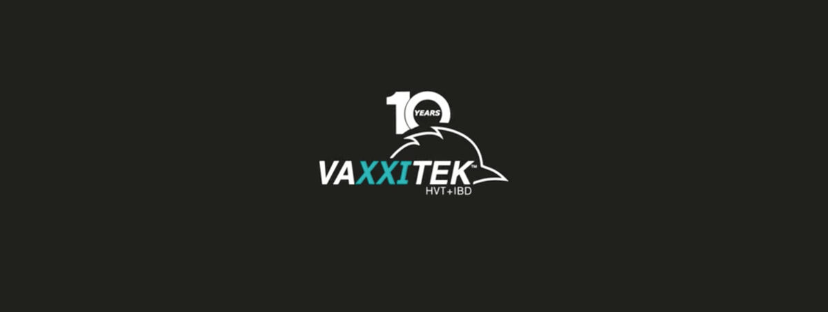 Vaxxitek® aborda la Enfermedad de Gumboro en Info Visuals