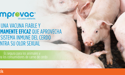 Improvac® reduce la huella de carbono de la producción porcina