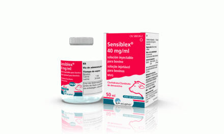 Ecuphar lanza SENSIBLEX®, el único medicamento en Europa autorizado para facilitar el parto en vacuno.
