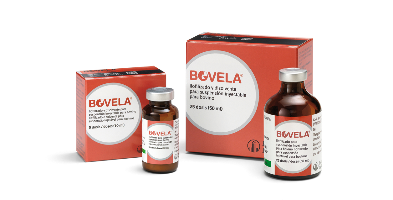 Bovela® se consolida como líder ante el BVD con más de 7 millones de vacas vacunadas en la Unión Europea