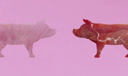 ‘SILUETAS’ lleva a la televisión los múltiples beneficios nutricionales de la carne de cerdo