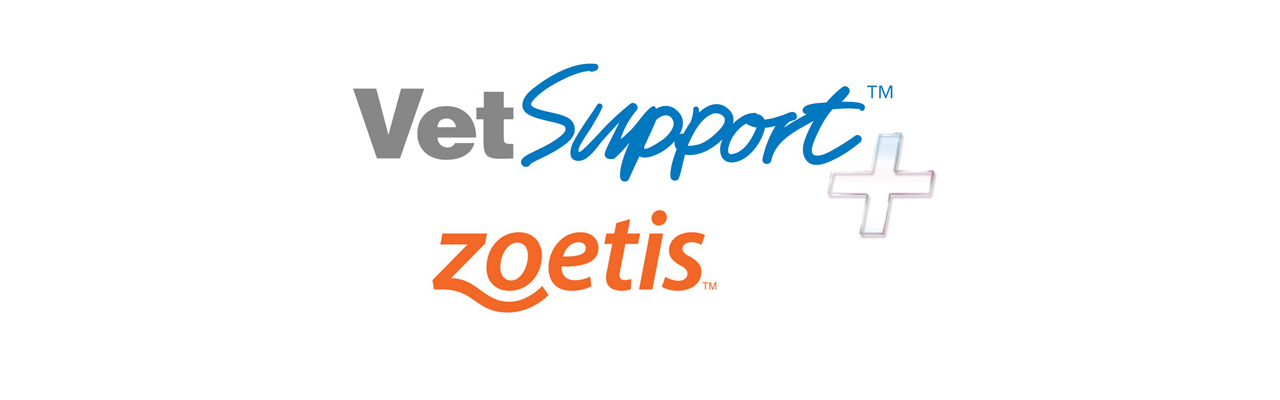 La Unidad de Porcino de Zoetis presenta sus nuevos Servicios VetSupport+ 2018