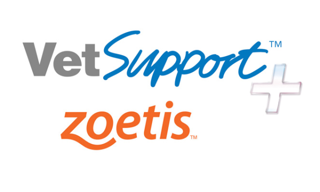 La Unidad de Porcino de Zoetis lanza su nueva oferta formativa VetSupport+