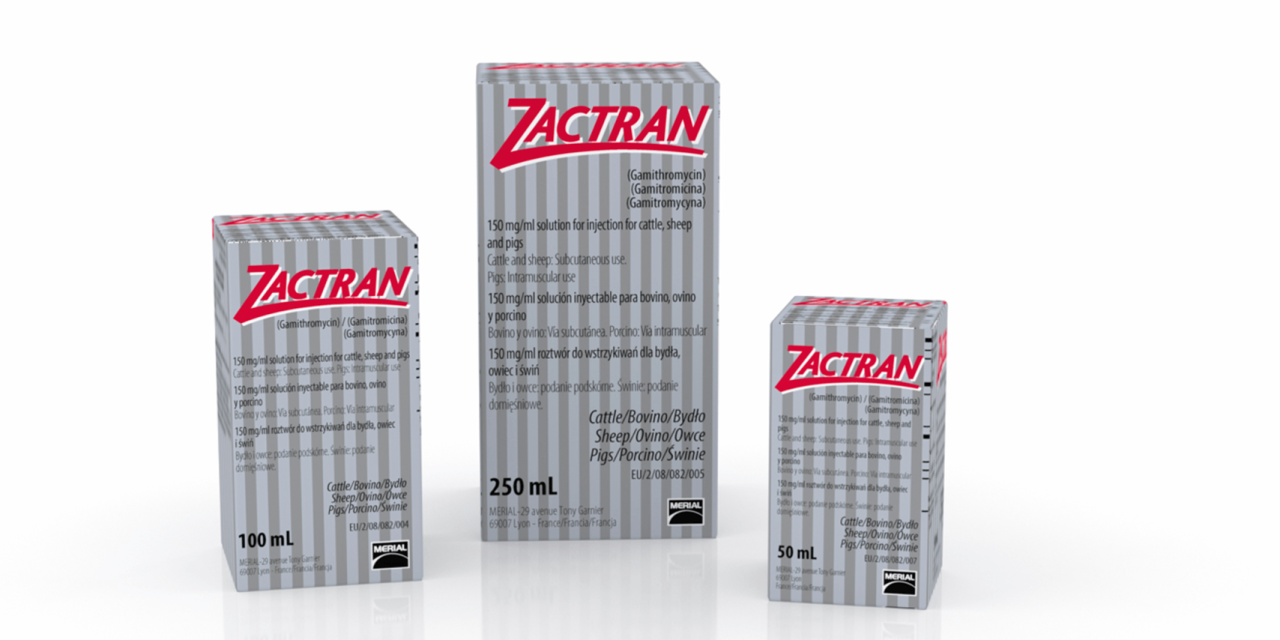 ZACTRAN® amplía su espectro de acción con una nueva indicación para PORCINO frente a B. bronchiseptica