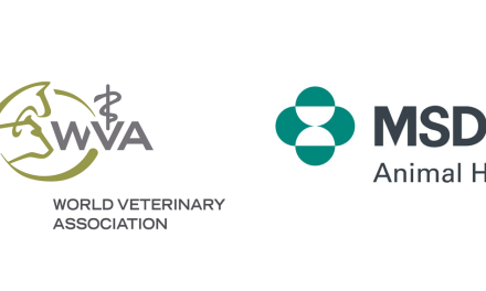 MSD ANIMAL HEALTH en colaboración con WORLD VETERINARY ASSOCIATION otorgan 41 becas a los estudiantes de veterinaria más destacados.