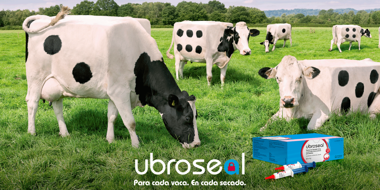 Boehringer Ingelheim presenta Ubroseal®, un sellador interno para prevenir infecciones intramamarias