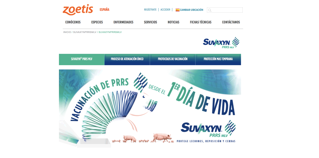 Ya es posible consultar todas las ventajas de Suvaxyn® PRRS MLV en  el nuevo portal web