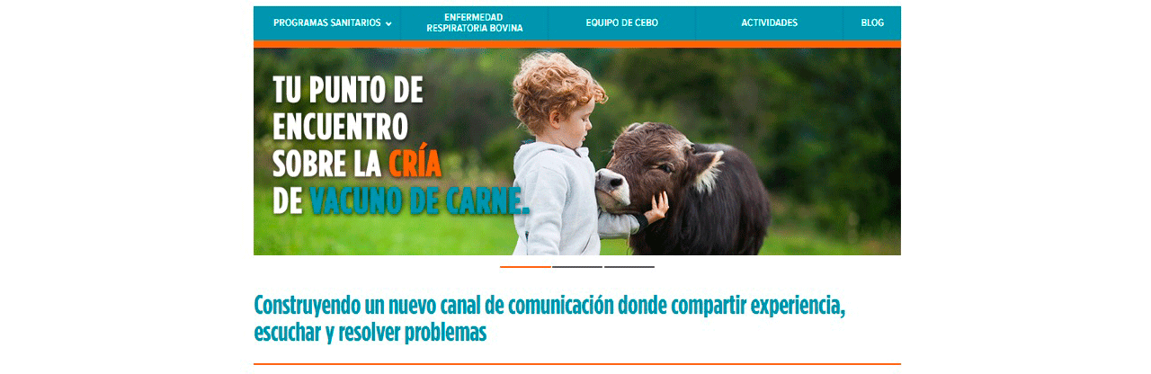 www.consentidovacuno.es, espacio de referencia para el sector vacuno de carne