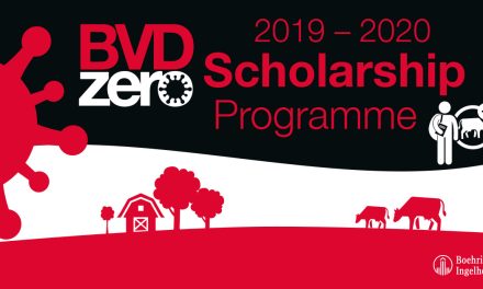 Boehringer Ingelheim convoca las becas BVDzero para estudiantes de veterinaria de todo el mundo