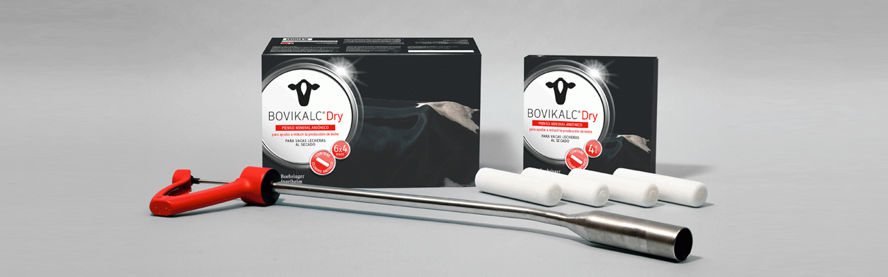 Boehringer Ingelheim presenta Bovikalc Dry®, un suplemento mineral oral que ayuda a reducir la producción de leche en el momento del secado