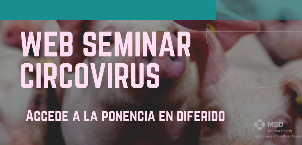 MSD Animal Health repasa la actualidad del circovirus de la mano de Joaquim Segalés