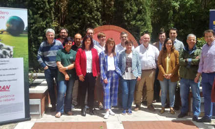El grupo de expertos de Solomamitis de pequeños rumiantes celebra su segundo encuentro en Valladolid