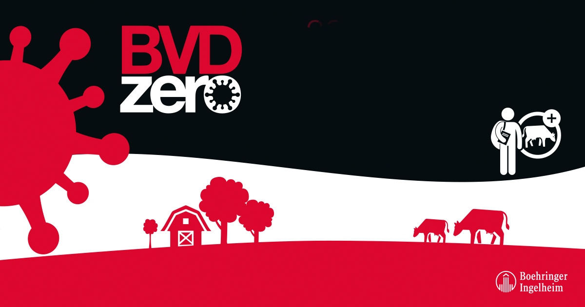Boehringer Ingelheim anuncia los 12 ganadores del programa de becas BVDzero