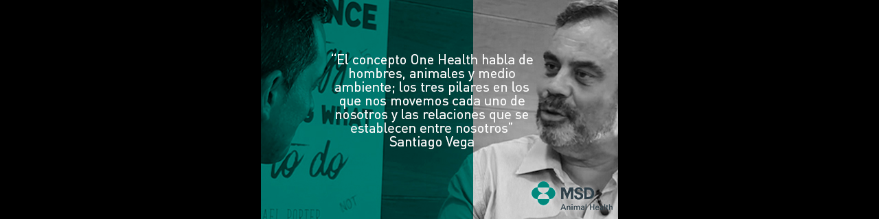 La formación de los futuros veterinarios debe plantearse desde el concepto One Health