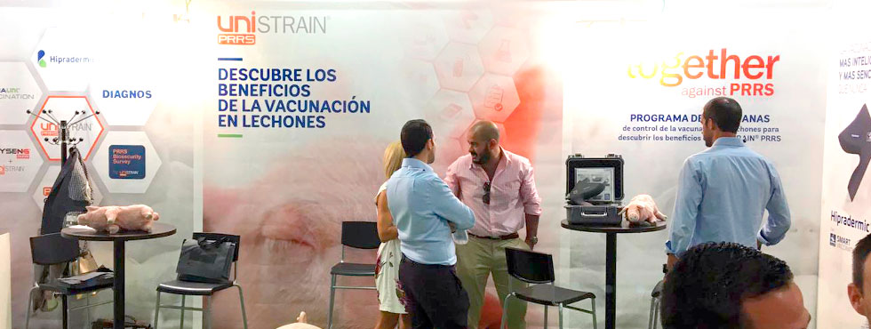 HIPRA participa en el congreso ANAPORC 2019 poniendo foco a la vacunación de lechones frente al PRRS