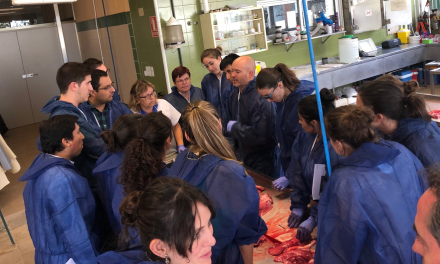 Ceva realiza un taller de lesiones pulmonares en el marco del  Máster de Porcino 2019-20.