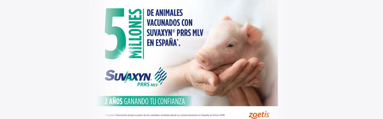 Suvaxyn® PRRS MLV: dos años de confianza y cinco millones de animales vacunados