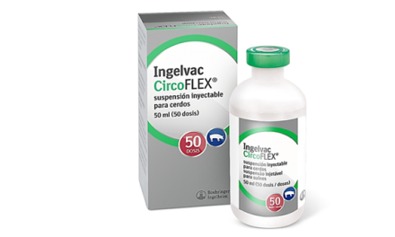 Boehringer Ingelheim presenta DiaTEC, una nueva tecnología de purificación para Ingelvac CircoFLEX®