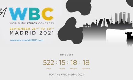 El WBC MADRID 2020 se traslada al 26 de septiembre de 2021