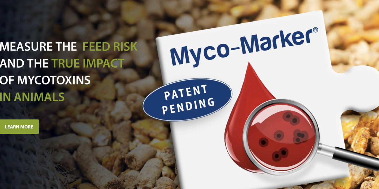 Con Myco-Marker® ponemos a disposición de nuestros clientes una innovadora herramienta capaz de detectar un grupo de 29 micotoxinas y sus metabolitos en la sangre de pollos y cerdos