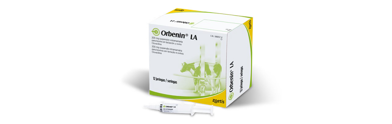 Orbenin® LA: una opción responsable para tratar las mamitis por Gram+