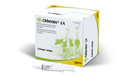 Orbenin® LA: una opción responsable para tratar las mamitis por Gram+