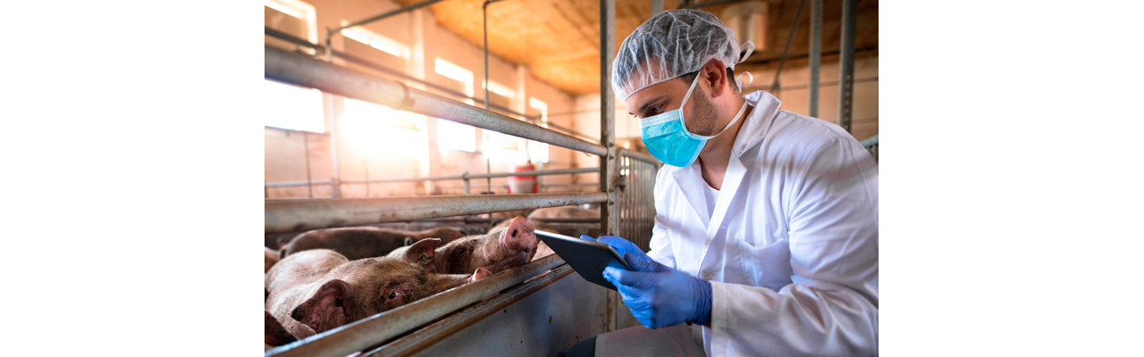 La vacunación en medicina veterinaria centra sus avances en la seguridad, la eficacia y la posibilidad de diferenciar animales vacunados de infectados